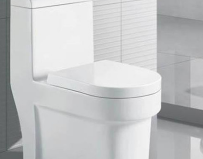  天津宝坻马桶疏通哪家好